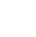 check-icon